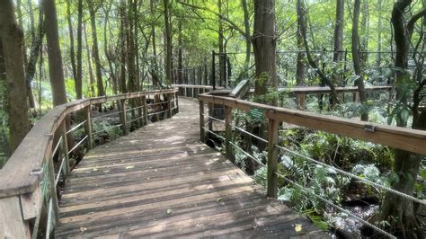 Venice Florida Bird Sanctuary