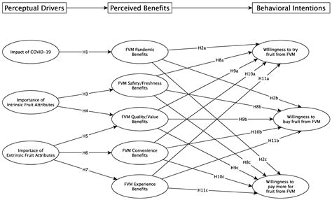 Fruit Vending Machines as a Means of Contactless Purchase: Exploring ...