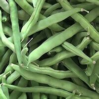 Kanthalloor tourism - Best Kanthalloor tourism