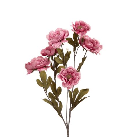 Buy Lotus Peony Flower online in India – Home4u