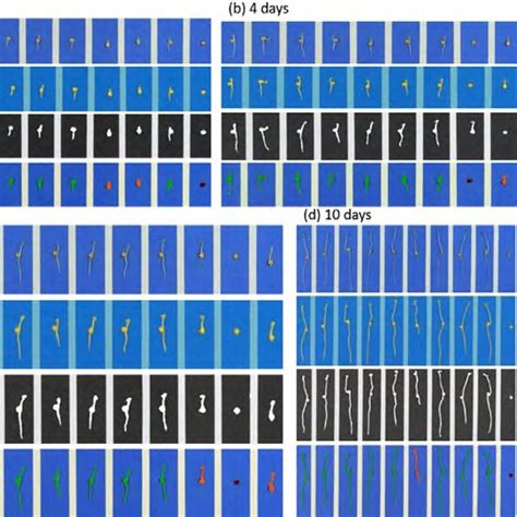 Image result for Interactive Machine Learning
