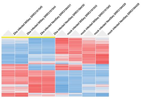 RNA-Seq Analysis Tutorial 的图像结果