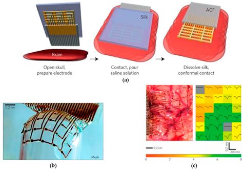 Neural Interface 的图像结果