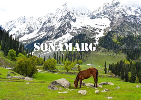 Pearl Residency Pahalgam, Jammu & Kashmir, Hotel in Pahalgam, Best ...