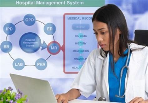 Ecoboy || Best IT company, Best website company, Best website designing ...