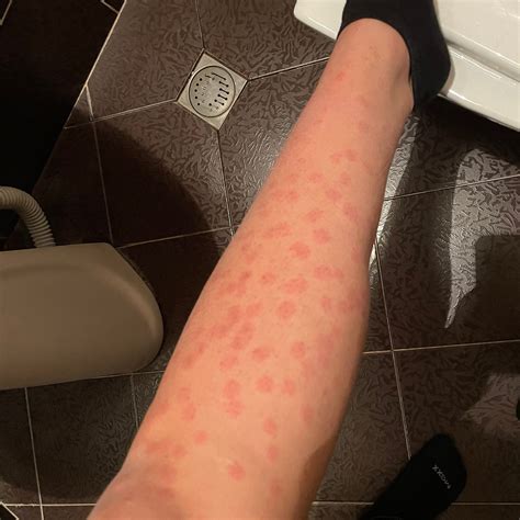 LASERLAND (2025) All You Need to Know BEFORE You Go (with Photos ...