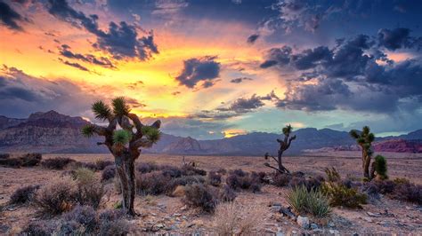 Deserts Of Nevada