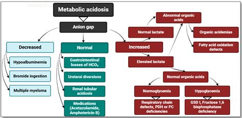 Lactate, an Essential Metabolic Marker in the Diagnosis and Management of Pediatric Conditions