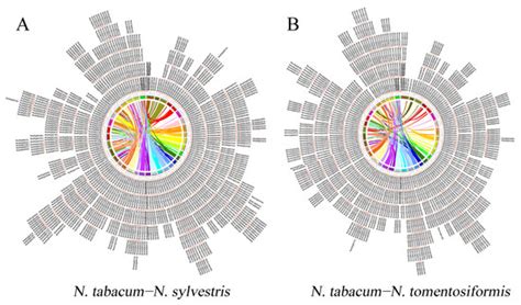 Genome-Wide Identification of NBS-LRR Family in Three Nicotiana Genomes ...