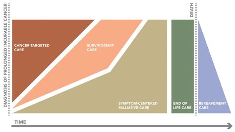 Improving Care for Patients Living with Prolonged Incurable Cancer