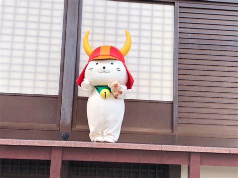 Image result for Basic Function Network Operating System