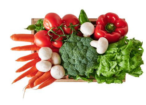 Safal Seeds & Biotech Ltd. | Quality Agricultural Seeds Manufacturer ...