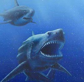 《巨齿鲨》来袭,上演海底侏罗纪_深海