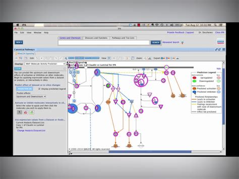 Ingenuity Pathway Analysis Price, Features, Reviews & Ratings ...