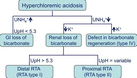 Pathophysiology of Renal Tubular Acidosis: Core Curriculum 2016 ...