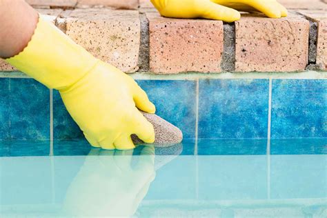 Image result for Clean Pool Tile