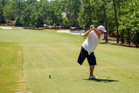 Download Pristine Golf Green on a Sunny Day Wallpaper | Wallpapers.com
