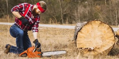 Chainsaw Tutorial 的图像结果