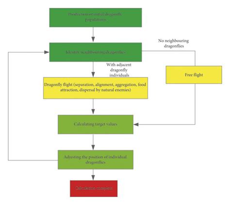 Image result for Tracking Algorithm Dragonflies
