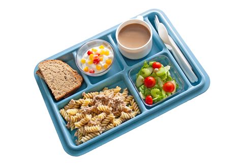 Blue School Lunch Tray