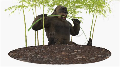 Big Ape Gigantopithecus Eats Bamboo Plants 3D | 3D Molier International