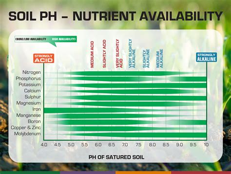 Best pH and EC Values for Your Hydroponic Nutrient Solution — HER 86m2 - by Thuy Dao
