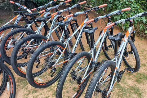 ARIA'S RENTAL STORE (2026) All You Need to Know BEFORE You Go (with ...