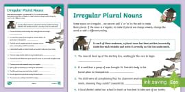 Homonyms: Homophones and Homographs Activity Sheets - Twinkl