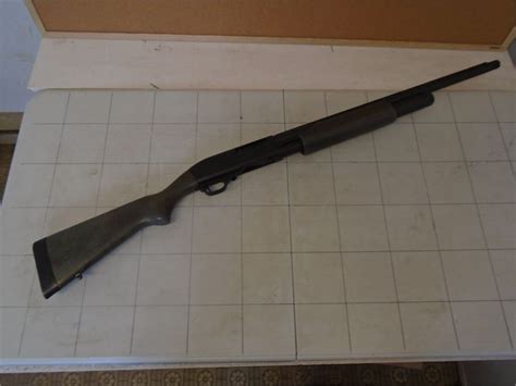 Blue Line 12Ga 的图像结果