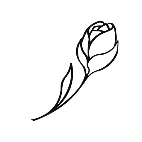 linear coloring rose bud outline, illustration 47750999 Vector Art at ...