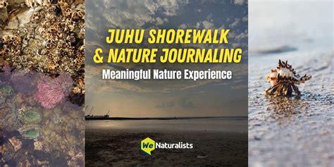 Juhu Shorewalk & Nature Journaling | adventure Tickets Mumbai - BookMyShow