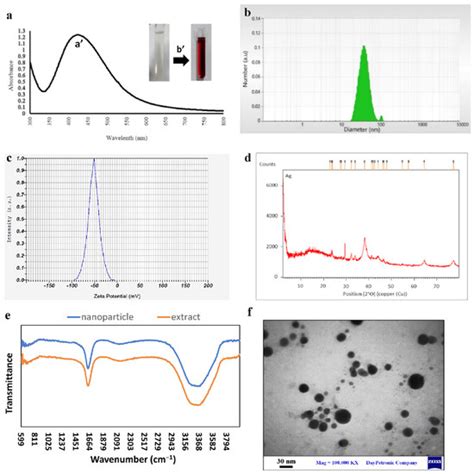 Antimicrobial Activity of Blow Spun PLA/Gelatin Nanofibers Containing ...