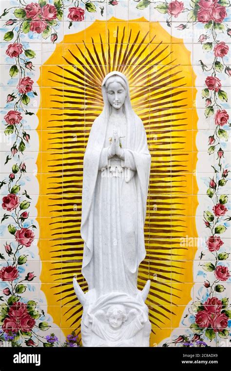 Image result for Immaculate Conception Mary Statue