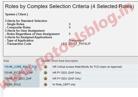 ZRICT_PAYSLIP Menu in SAP Module