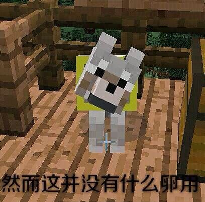 我的世界表情包图片大全_uc今日头条新闻网