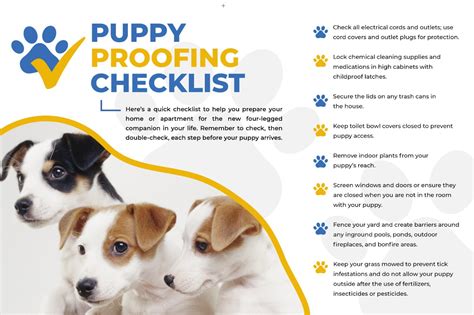 Puppy Proofing Your House or Apartment | The Ultimate Guide & Checklist ...