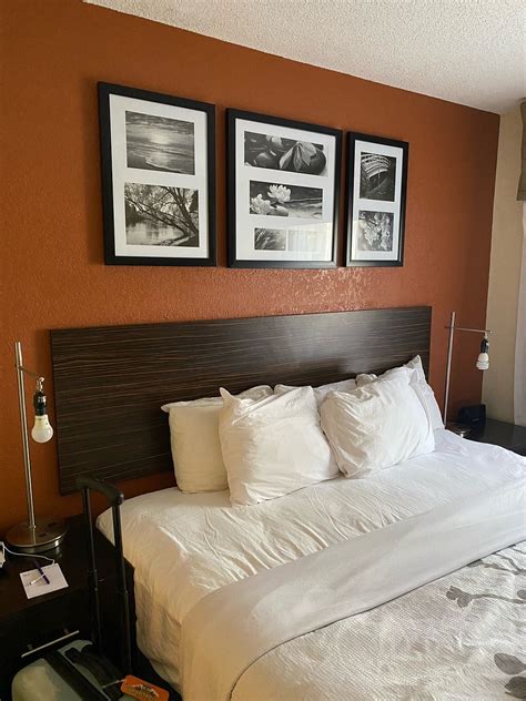 SLEEP INN SARASOTA - Updated 2025 Prices & Hotel Reviews (FL)