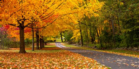 Image result for Autumn Homework EYFS