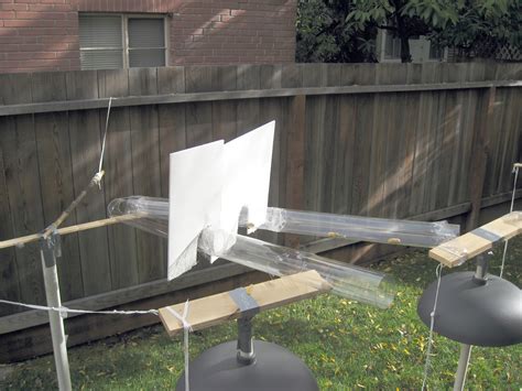 Squirrel Running Obstacle Course