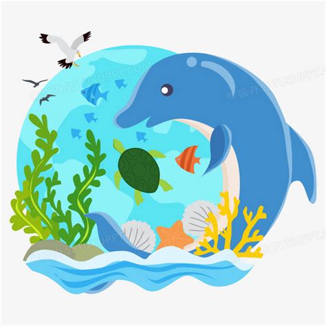 卡通手绘海豚海洋生物免抠PNG图片素材下载_素材PNG_熊猫办公