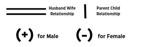 Blood Relations - 2 - CUET Commerce Free MCQ Practice Test with solutions