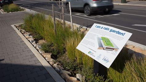 Why you need a raingarden (and what it is) | Green Adelaide