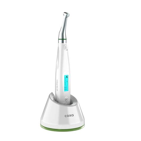 Buy COXO En'do' Motor, Cordless Rotary Tool Kit, 16:1 mini head,use for ...