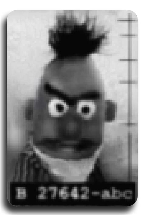 Image result for Computer Bug Bert