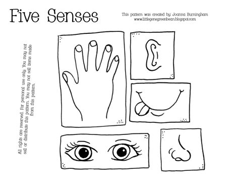 5 Senses Coloring Pages