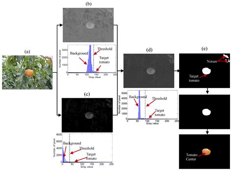 Robust Tomato Recognition for Robotic Harvesting Using Feature Images ...