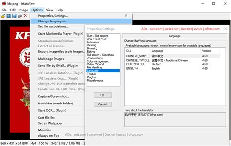IrfanView 64 的图像结果