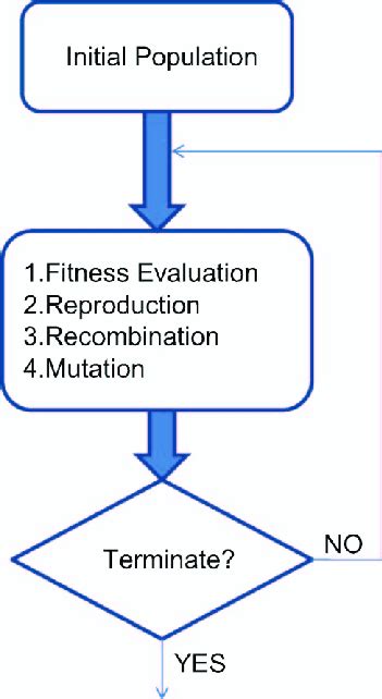 Image result for Genetic Algorithm Implementation