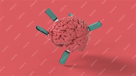 Human Memory Storage 的图像结果