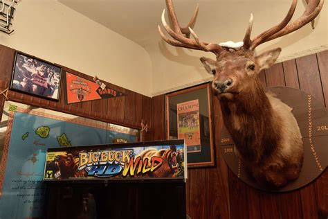 Why everyone called this SF dive bar owner when Hawaii’s Mauna Loa erupted